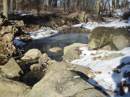 Rock Garden