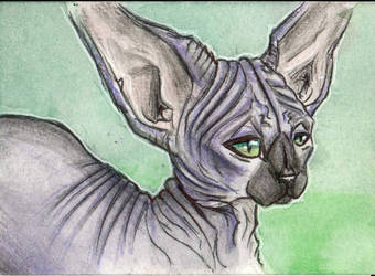 Sphynx