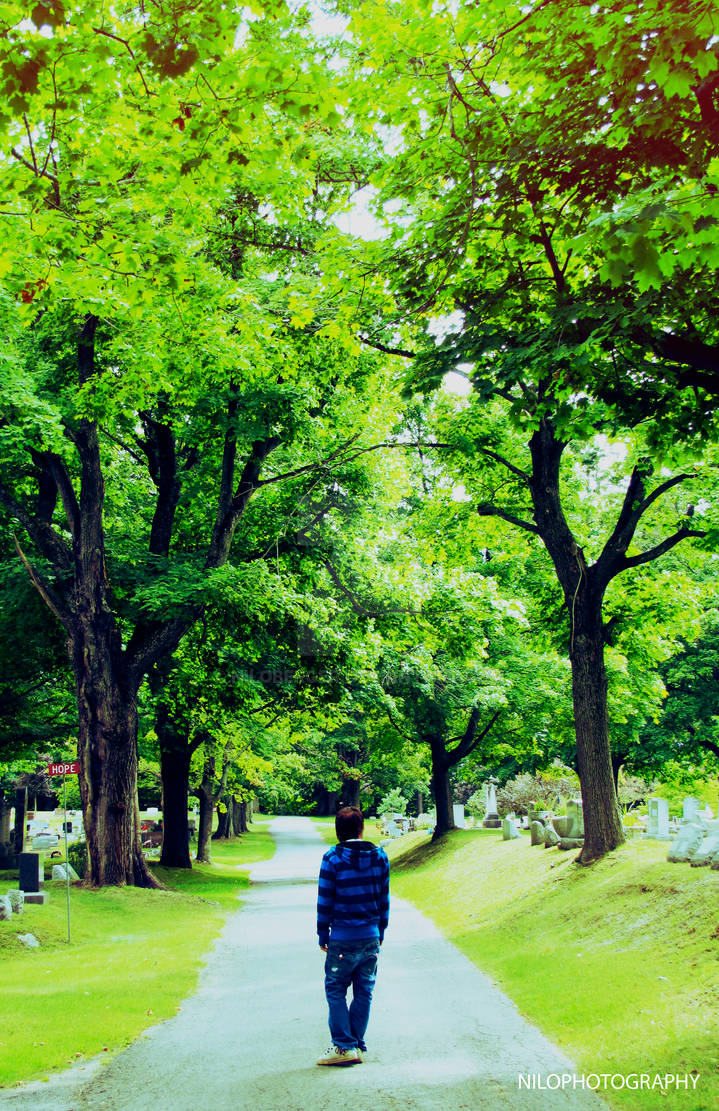 The path not taken by niloberger on DeviantArt