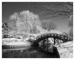 Japanese Bridge IR