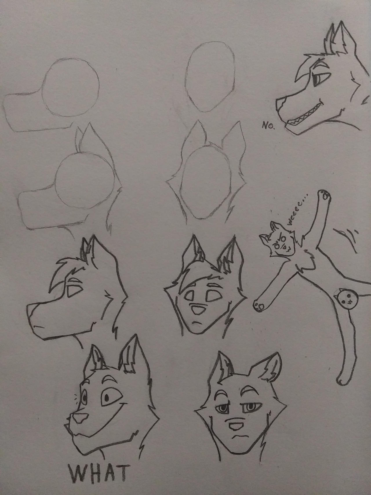 Fury Scetch Reference Furry Sketch Sheet by ImaginationInTheDark on DeviantArt