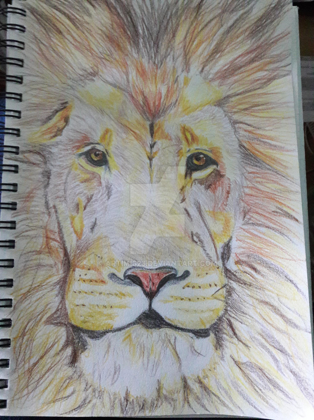 Lion