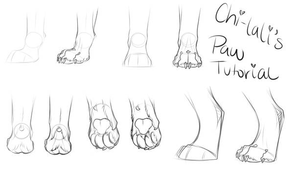 Explore the Best Paw Art | DeviantArt