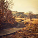 I'm on the road, the road to Home. by cichutko