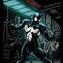 Spiderman black suit Washed BG