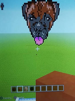 made this in minecraft lol boxer dog 