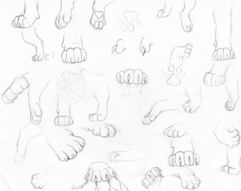 Practice. Paw