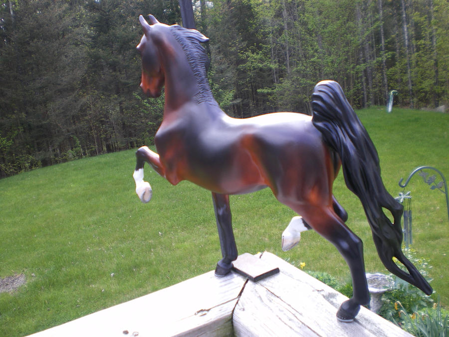 Saddlebred~ other side