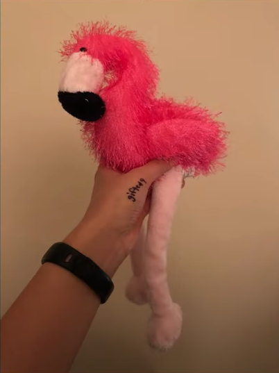 Webkinz flamingo online