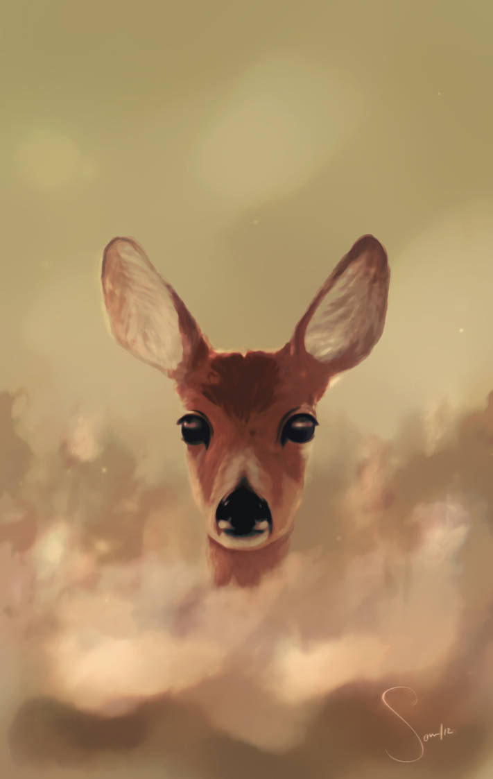 Deer