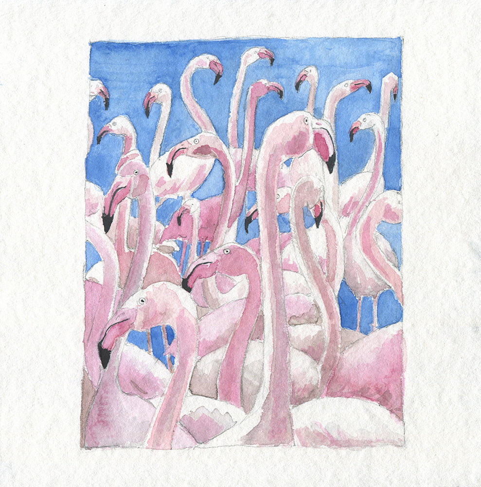 Flamingos at the lake