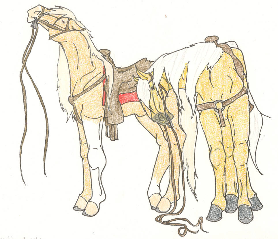 Palimino Princes by AgentDarkhorse on DeviantArt