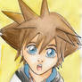 Blue-eyed Sora