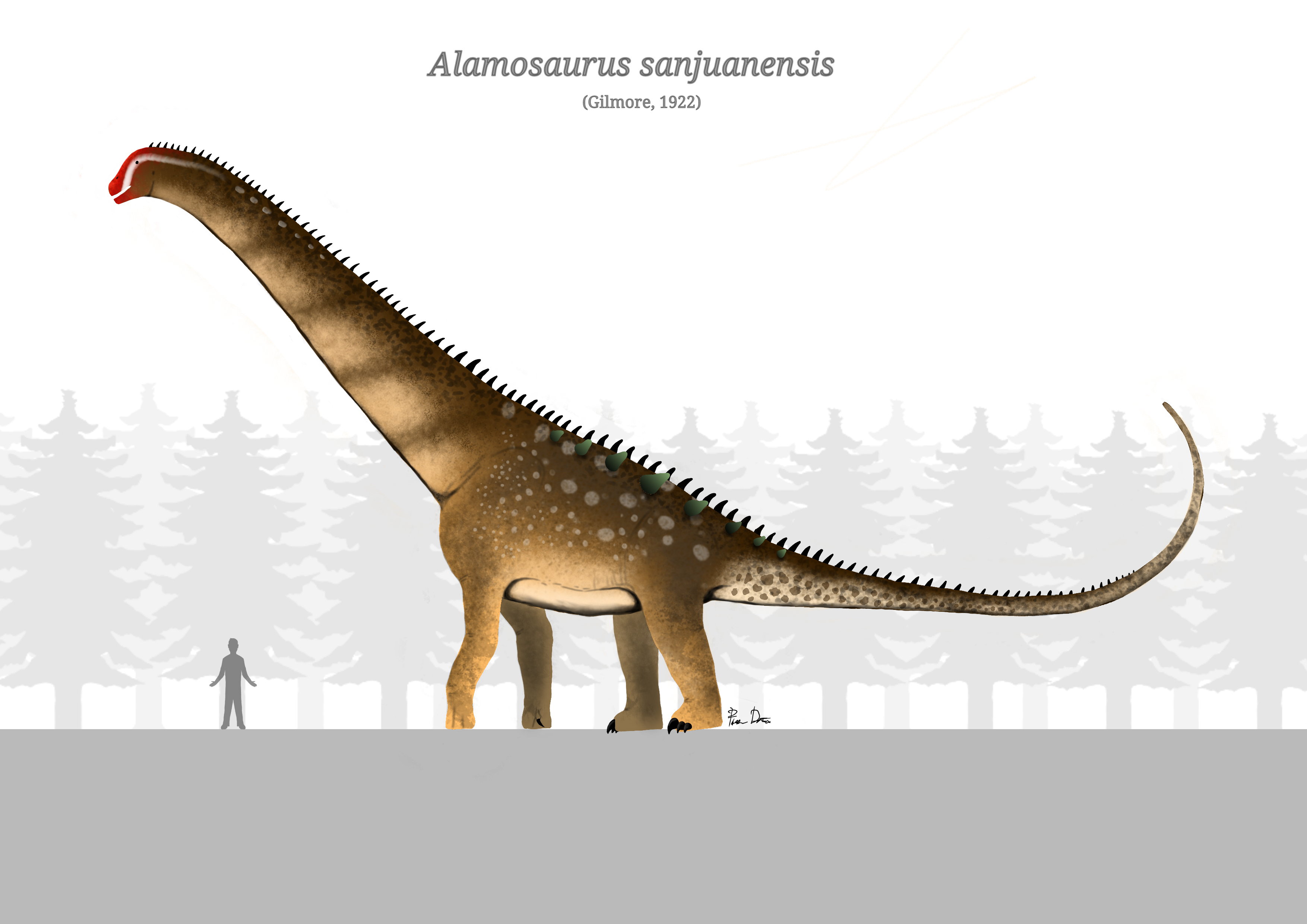 Alamosaurus Sanjuanensis Size Comparison By Noisyclash On DeviantArt alamosaurus-sanjuanensis-size-comparison-by-noisyclash-on-deviantart