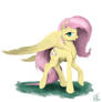 Fluttershy