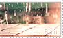 Rain Stamp
