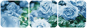 Blue Roses Divider Blue Roses Divider and Base by LaraLeeL on DeviantArt