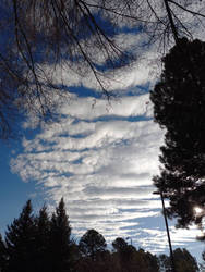 Cloud symmetry 