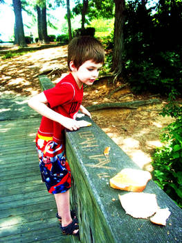 owen feeding ducks