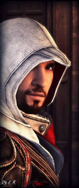 Assassin's Creed Brotherhood