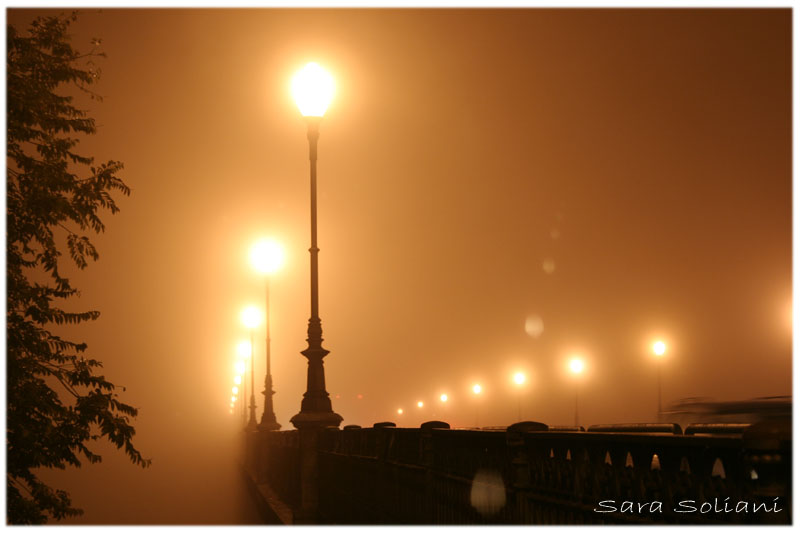 Foggy night in Parma