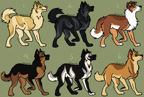 Canine adopts - CLOSED