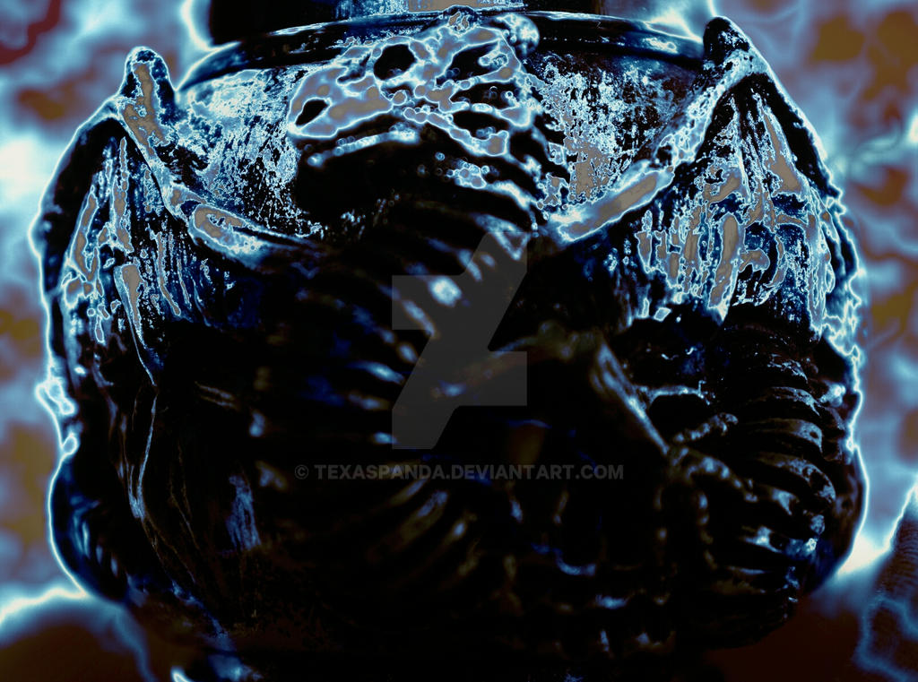 Texaspanda Deviantart Emerging by TexasPanda on DeviantArt