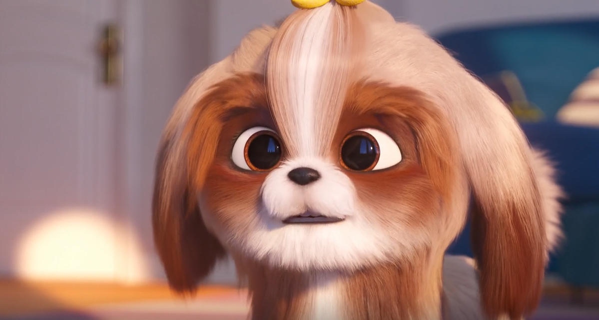 Daisy The Secret Life Of Pets 2 By Brendachoi14 On DeviantArt daisy-the-secret-life-of-pets-2-by-brendachoi14-on-deviantart