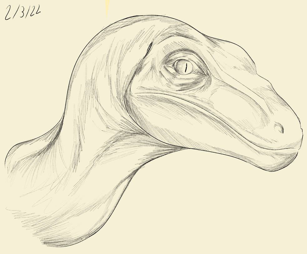 Raptor5 by Jackolen on DeviantArt