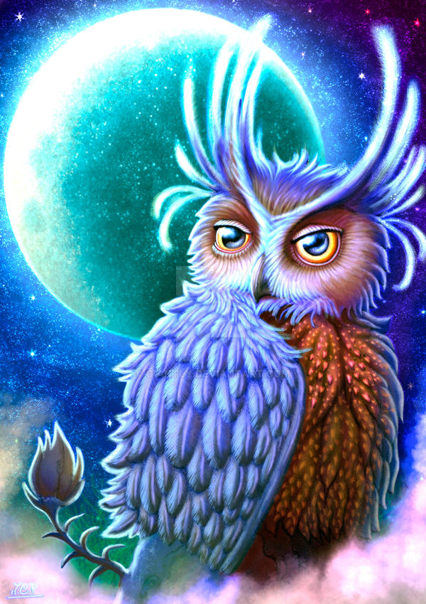 Owl and the Moon by GIANTLY Owl and the Moon by GIANTLY