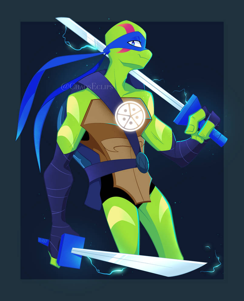Favorite Turtle by ChaosEclips on DeviantArt