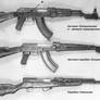 Automatic and carabiner Kalashnikov (1946)