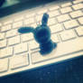 Himeko-chan! The black bunny! ^-^ (Instagram Pic)