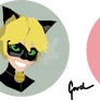 Miraculous ladybug badge sample