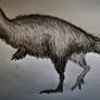 Kulindadromeus