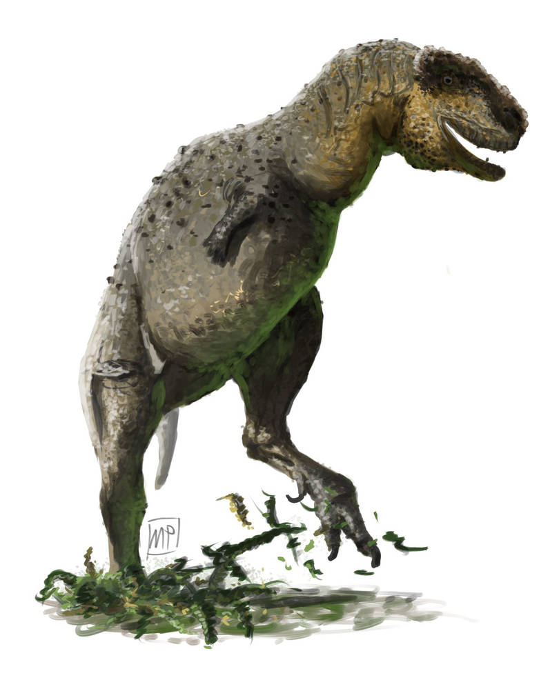 Aucasaurus Aucasaurus by NordicB3rry on DeviantArt
