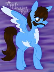 ID Lancelot Pony