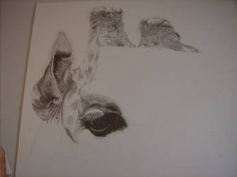 giraffe wip pic 5