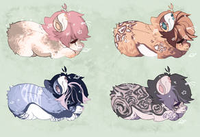 Prices lowered | soft dog adopts