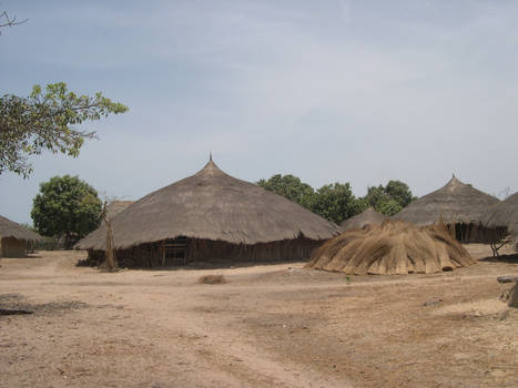 Guinea Bissau Landscape 34