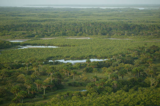 Guinea Bissau Landscape 37