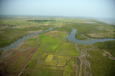 Guinea Bissau Landscape 42