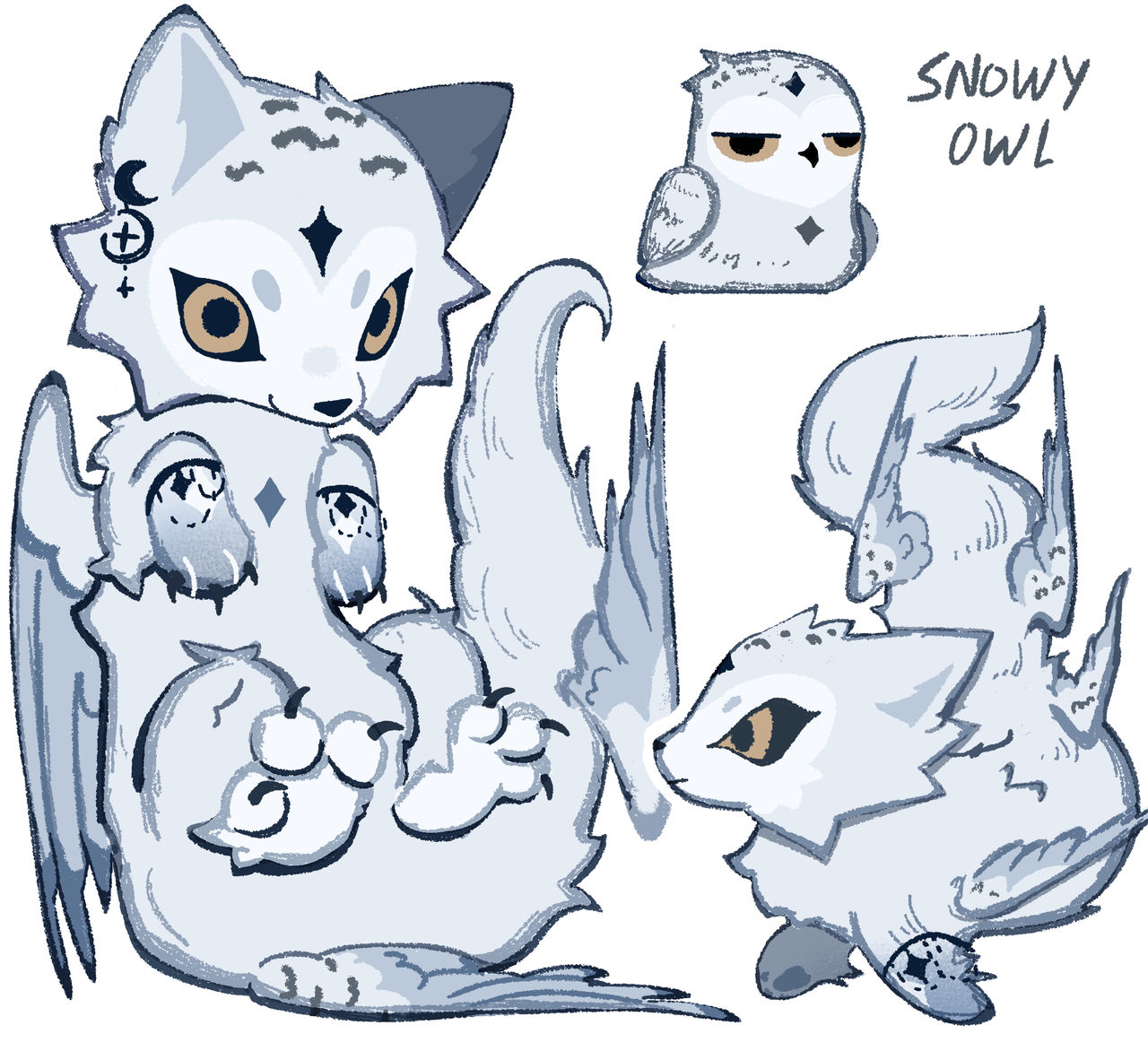 Snowy owl