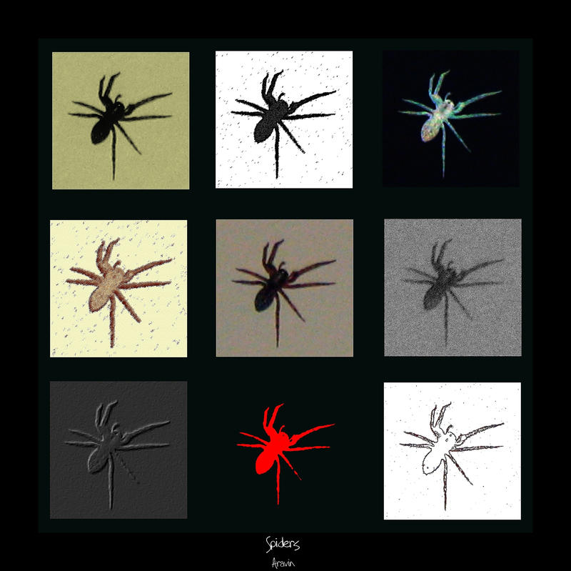 Spiders by FirstEditionsStudio on DeviantArt