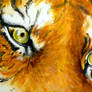 Tiger Eyes