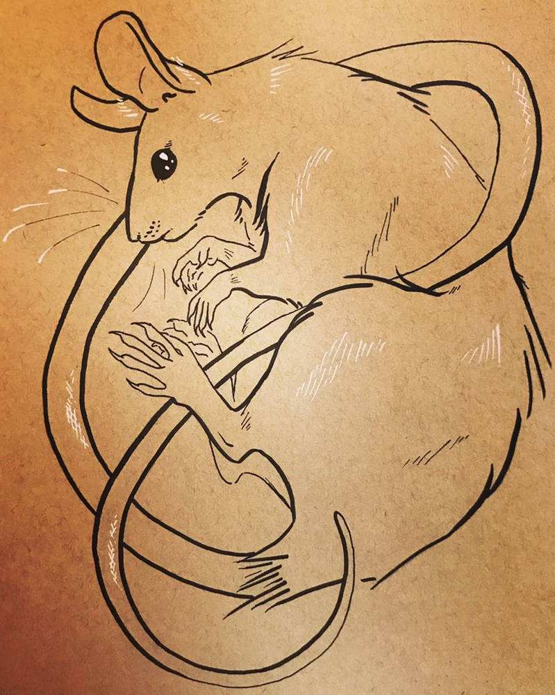 Rat Ink Creature Rat Ink by Beefstatic on DeviantArt