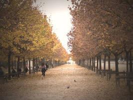 Paris -3-