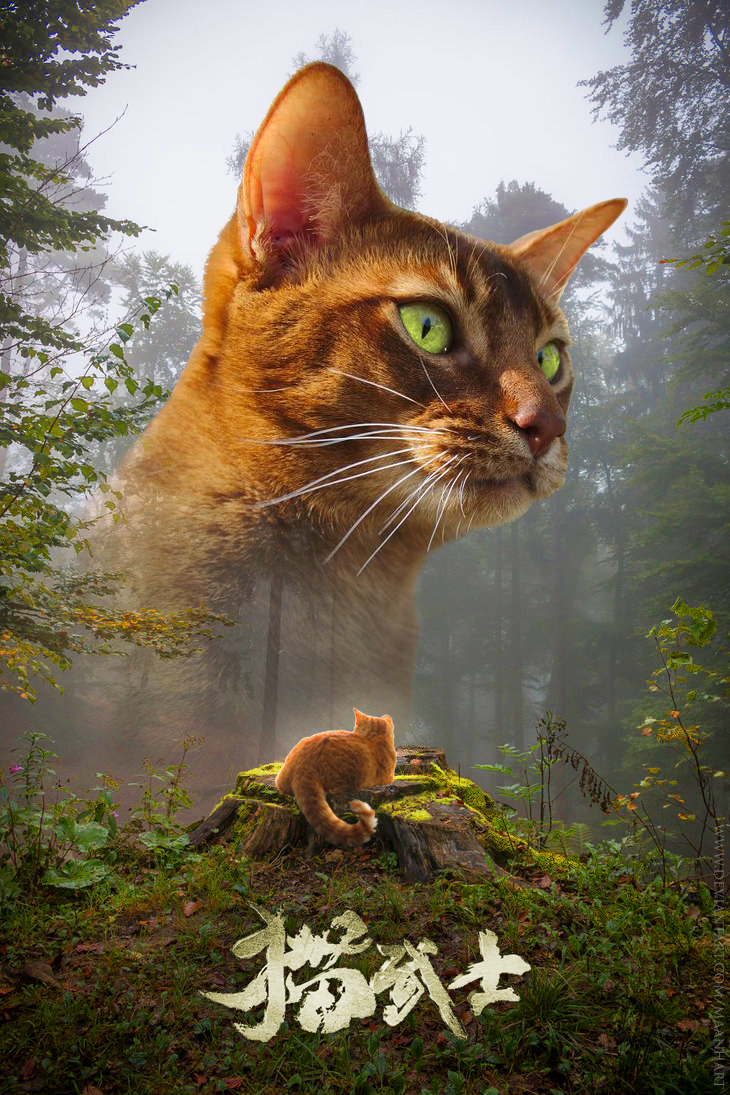 warrior cats (fake) movie poster by entangled-life on DeviantArt