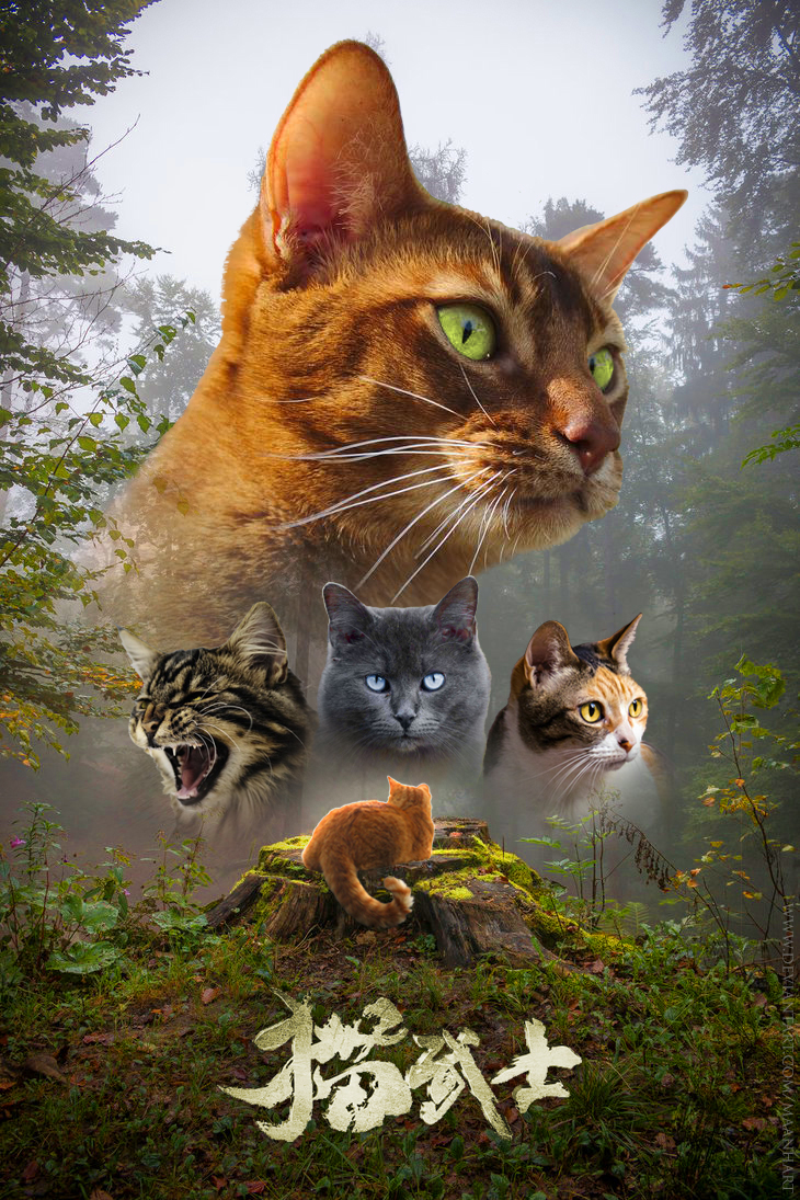 Warriors Movie Poster  Warrior Cats Amino Amino