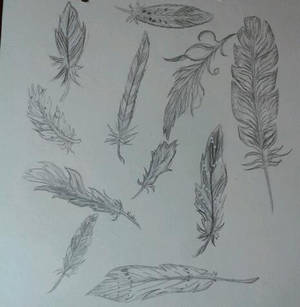 Feather collection